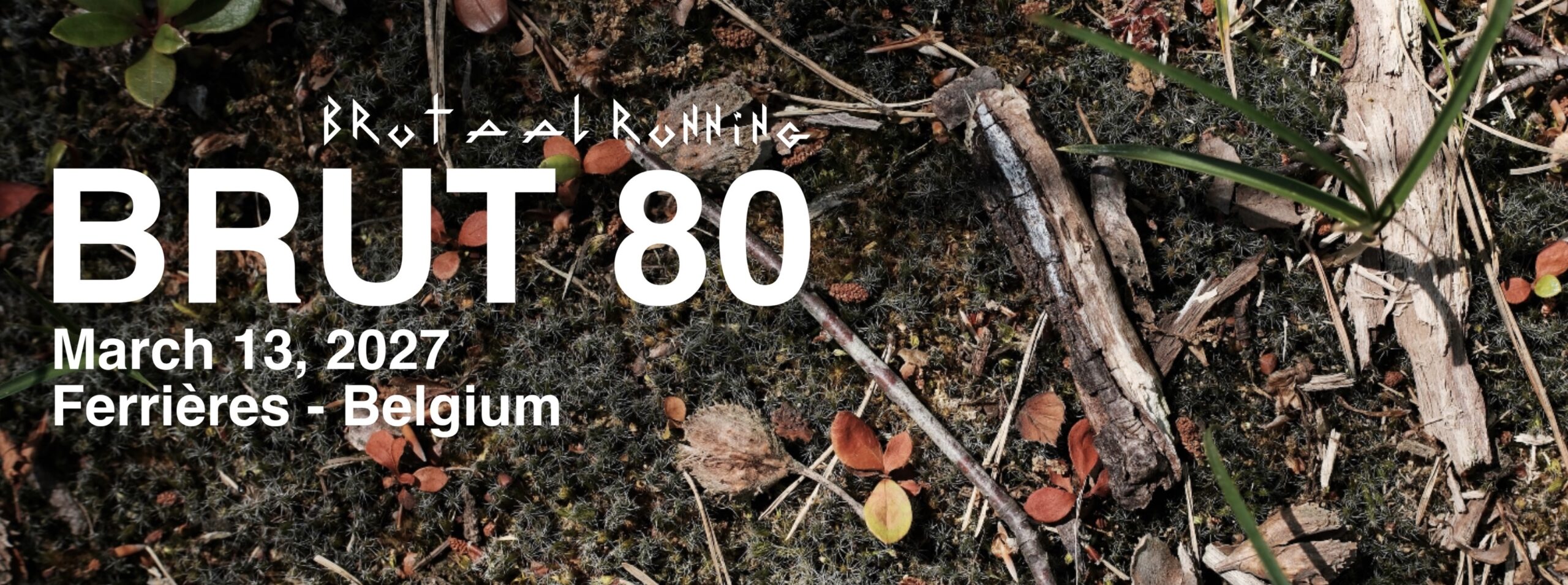 Brut 80 2nd Edition